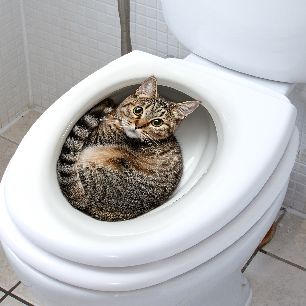 3D Funny Cat Toilet Sticker Ba - Home Center Bathroom Accessories recension och pris